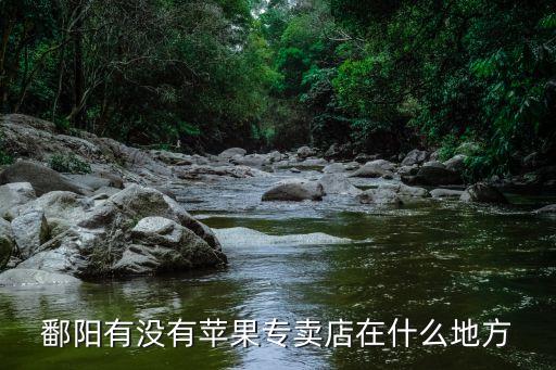 鄱阳有没有苹果专卖店在什么地方