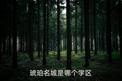临泉好的学区房有哪些，临泉县华力名著属于学区房吗