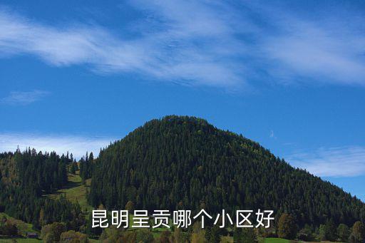 昆明呈贡哪个小区好