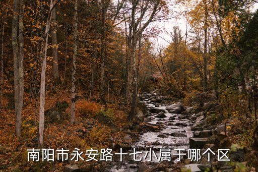 南阳17小学区房有哪些，南阳市永安路十七小属于哪个区