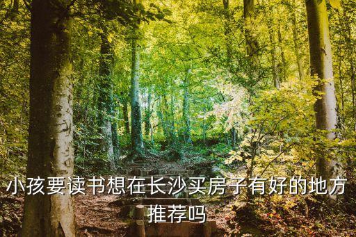 小孩要读书想在长沙买房子有好的地方推荐吗