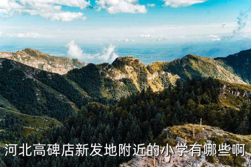 河北高碑店新发地附近的小学有哪些啊