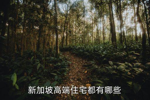 新加坡高端住宅都有哪些