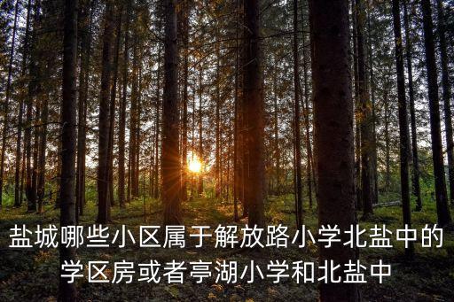 盐城哪些小区属于解放路小学北盐中的学区房或者亭湖小学和北盐中