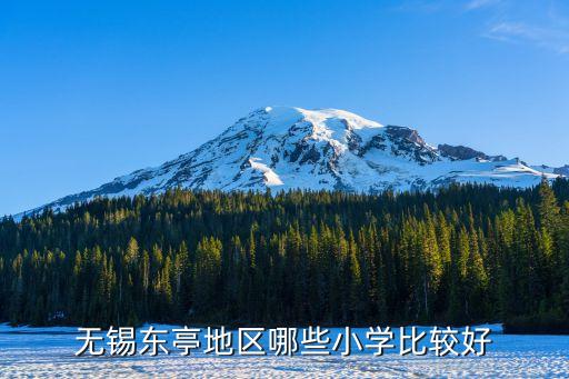 无锡东亭地区哪些小学比较好