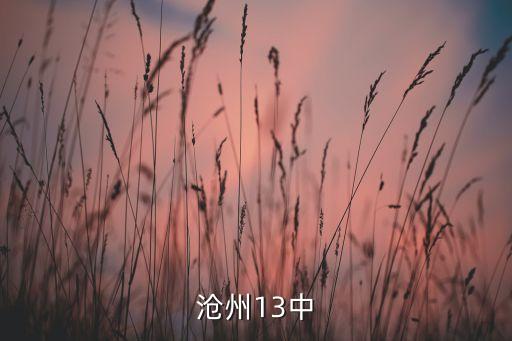 沧州13中学区房有哪些，十三中怎么招生上总校的那个学区房有什么要求吗