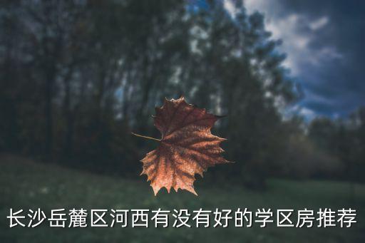 长沙岳麓区河西有没有好的学区房推荐