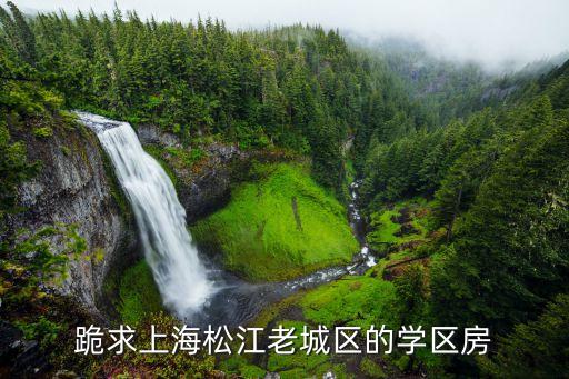 跪求上海松江老城区的学区房