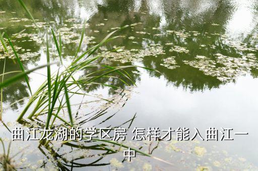 曲江龙湖的学区房 怎样才能入曲江一中