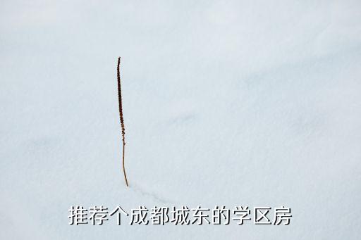 推荐个成都城东的学区房