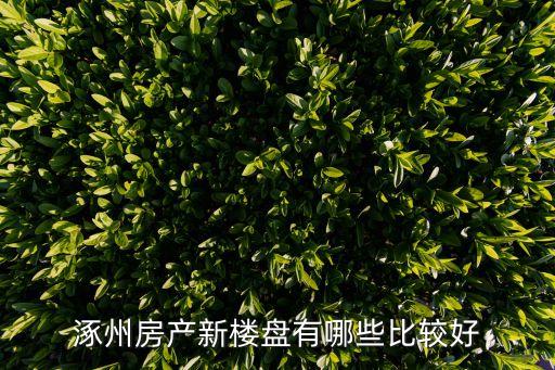 涿州房产新楼盘有哪些比较好