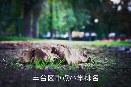 丰台区重点小学排名