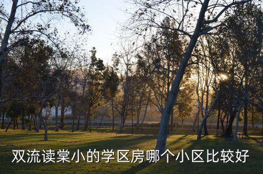 双流区的学区房有哪些，双流读棠小的学区房哪个小区比较好