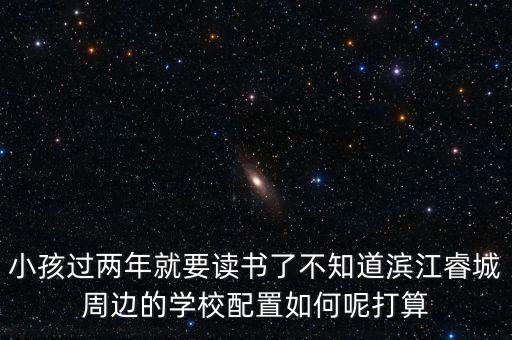 小孩过两年就要读书了不知道滨江睿城周边的学校配置如何呢打算
