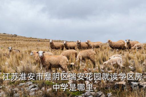 江苏淮安市淮阴区瑞安花园就读学区房中学是哪里
