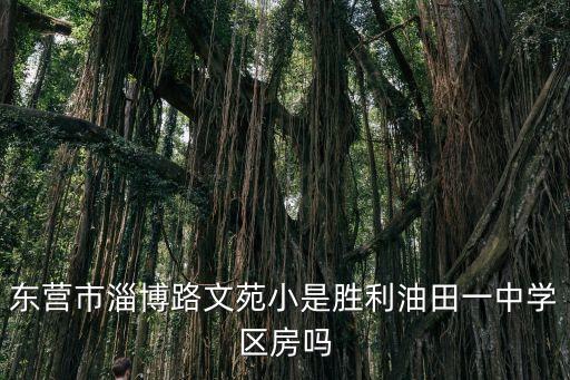 东营市淄博路文苑小是胜利油田一中学区房吗