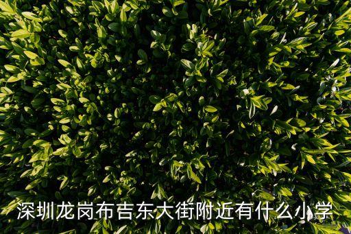 深圳龙岗布吉东大街附近有什么小学