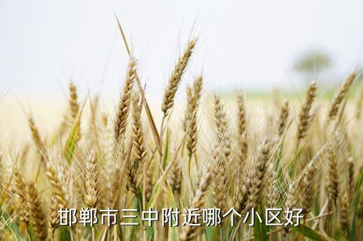 广元学区房有哪些小区，邯郸市三中附近哪个小区好