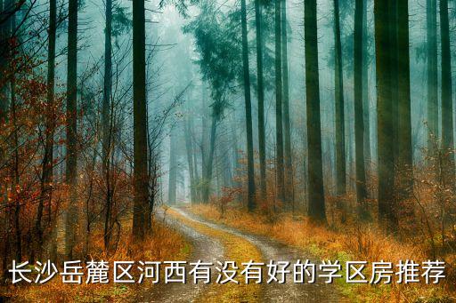 长沙岳麓区河西有没有好的学区房推荐