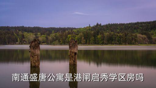 南通盛唐公寓是港闸启秀学区房吗