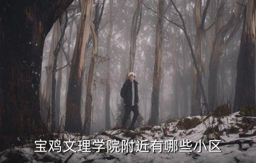 宝鸡文理学院附近有哪些小区