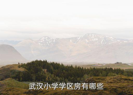 武汉小学学区房有哪些
