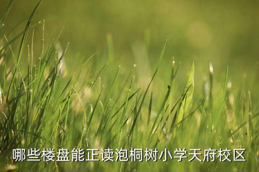 哪些楼盘能正读泡桐树小学天府校区