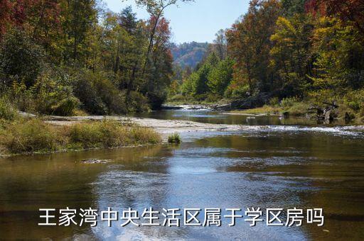 王家湾中央生活区属于学区房吗