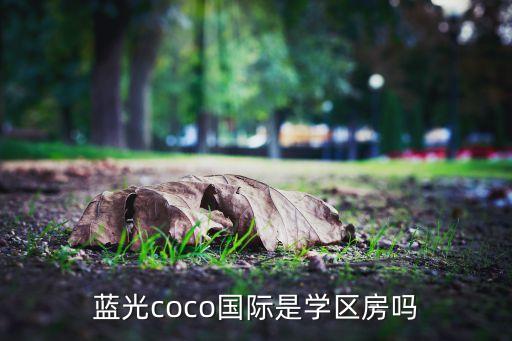 蓝光coco国际是学区房吗