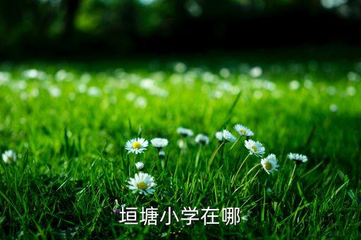 垣塘小学在哪