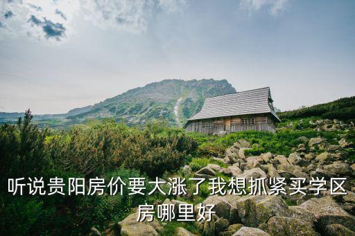 听说贵阳房价要大涨了我想抓紧买学区房哪里好
