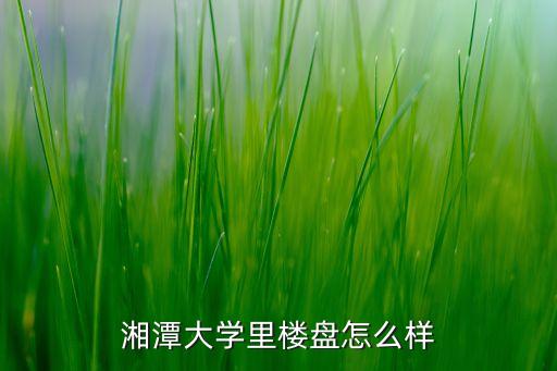 湘潭大学里楼盘怎么样