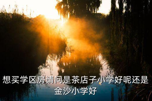 金沙小学学区房有哪些，上海嘉定普通小学的学区房有哪些