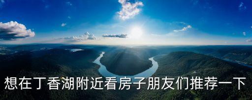 想在丁香湖附近看房子朋友们推荐一下