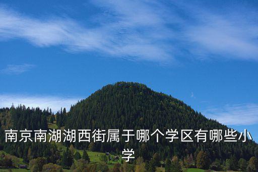 南京南湖湖西街属于哪个学区有哪些小学