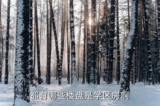 都有哪些楼盘是学区房啊