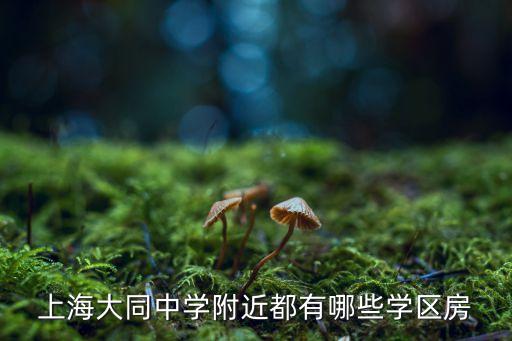 上海大同中学附近都有哪些学区房
