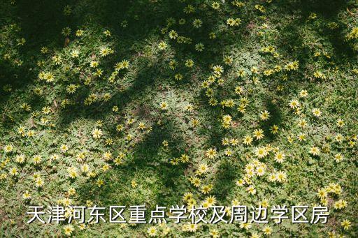 天津河东区重点学校及周边学区房