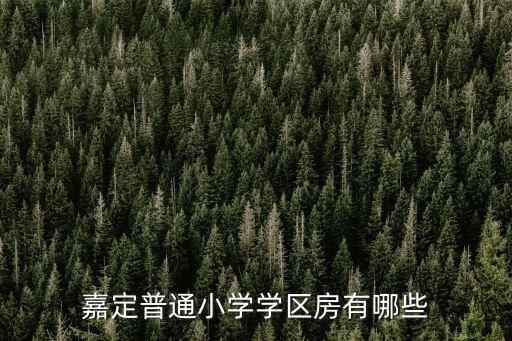 嘉定普通小学学区房有哪些