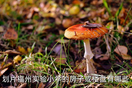 划片福州实验小学的房子或楼盘有哪些