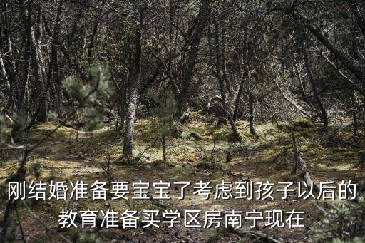 刚结婚准备要宝宝了考虑到孩子以后的教育准备买学区房南宁现在