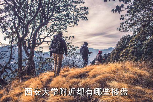 西安大学附近都有哪些楼盘