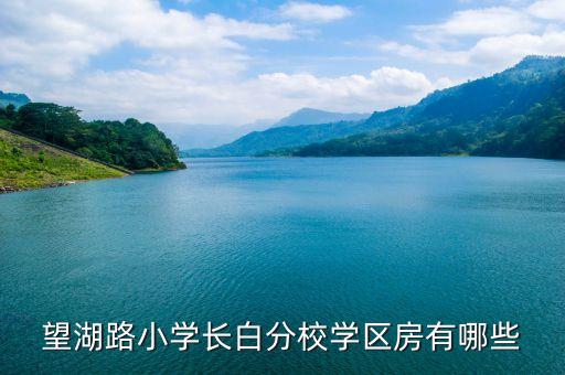 望湖路小学长白分校学区房有哪些