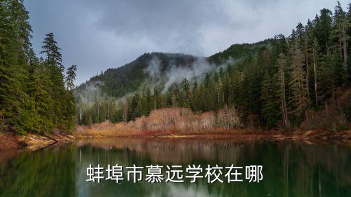 蚌埠市慕远学校在哪