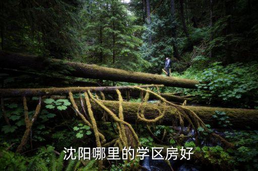 皇姑区哪些学区房好，沈阳皇姑区的学区房哪个楼盘比较好