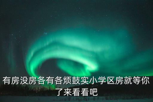 有房没房各有各烦鼓实小学区房就等你了来看看吧