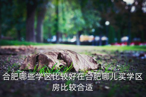 合肥哪些学区比较好在合肥哪儿买学区房比较合适