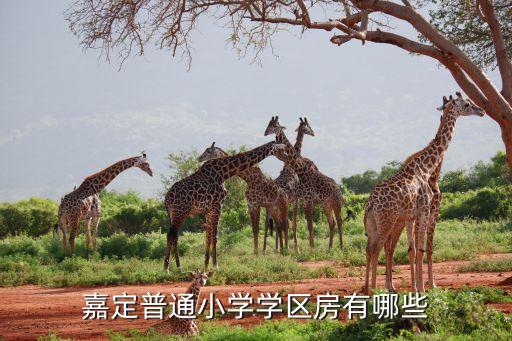 嘉定普通小学学区房有哪些