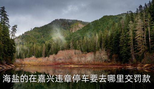 海盐的在嘉兴违章停车要去哪里交罚款