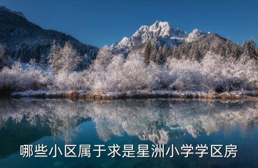哪些小区属于求是星洲小学学区房